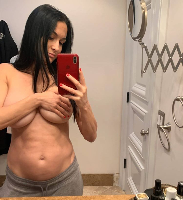 Nikki Bella Topless 0002