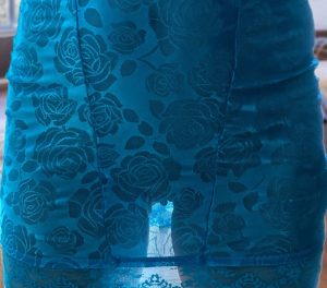 Μπορείς να δεις τα μουνόχειλά μου, μέσα από τη μπλε δαντέλα;